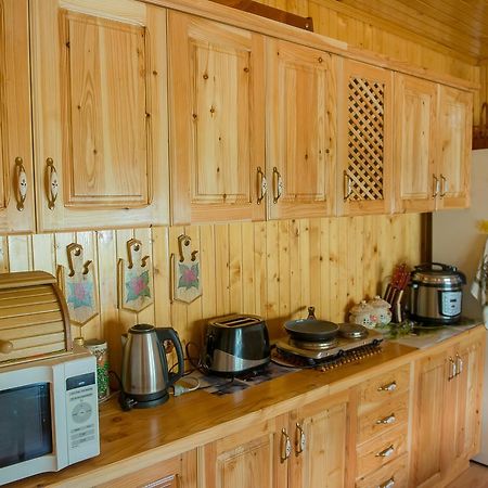 Guest House Suzirya Karpat Yaremche Dış mekan fotoğraf